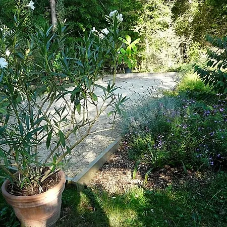 Oda ve Kahvaltı Le Manoir Des Tuileries 3*