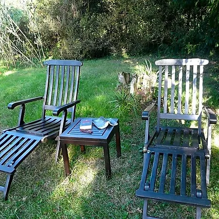Le Manoir Des Tuileries Oda ve Kahvaltı 3*