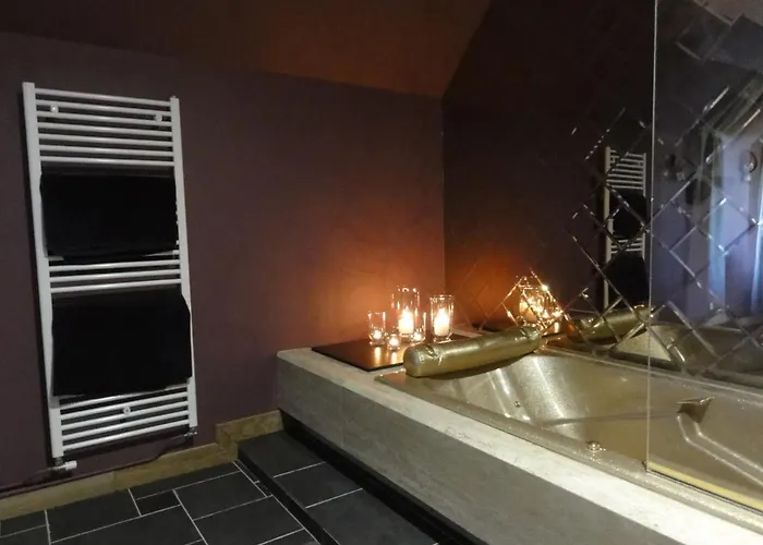 Le Manoir Des Tuileries Bed and breakfast